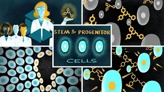 A new vision of regenerative medicine