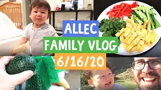 Allec Family Vlog 6/16/20: Avocados 🥑