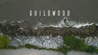 Guildwood