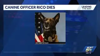 West Chester police mourning death of K-9, Rico