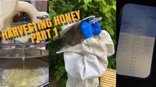 Harvesting honey -part 1