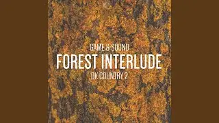 Forest Interlude (from 