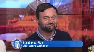 Gyton Grantley: Pooches At Play | Studio 10
