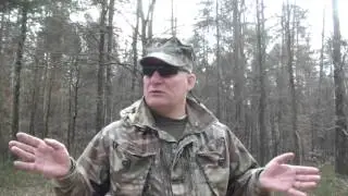 Cmentarz wojenny w Gałkowie