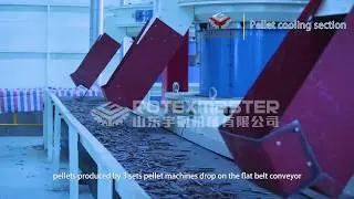 Asia biggest wood pellet production line and biomass pellet line with 20t per hour