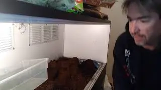 Новый биоактивный вольер для ложной водяной кобры