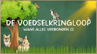 De voedselkringloop: waar alles verbonden is