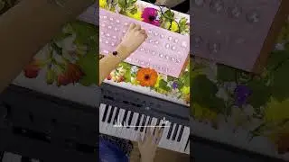Van Shake x GS Music | Live Set with the Pink E7 Synth 💗 Music with Purpose