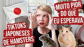 Reagindo a TikToks japoneses de HAMSTERS