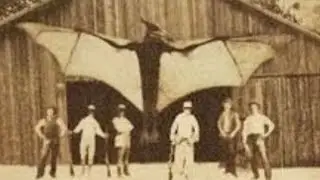 Dark Photos From History That Will Haunt You