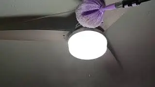 ANODA 5 12ft Extension Pole with Bonus Cobweb Duster Review