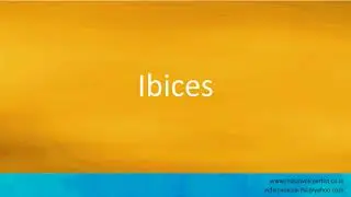 How to pronounce 