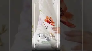 Bebejan Fresh Cut Flowers Comforter Set | 5 Piece 100% Cotton Sateen Reversible Floral Bedding USA