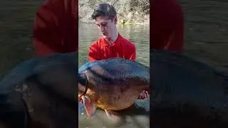 P&ecirc;che carpe le_t83340