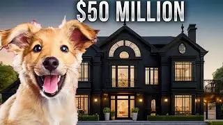 The Most Spoiled Pets in the World