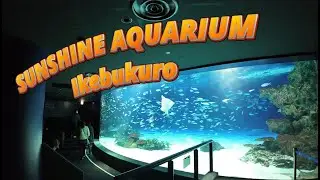 SUNSHINE AQUARIUM at IKEBUKURO, TOKYO