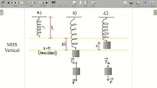 MHS: Sistema Massa-Mola Vertical