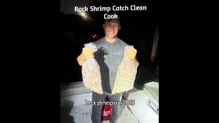 Catch Clean Cook Rock Shrimp In Pompano Beach Florida
