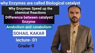 Enzyme/ Metabolism and its types/ Enzyme and catalyst/Substrate and products by sohail khan kakar
