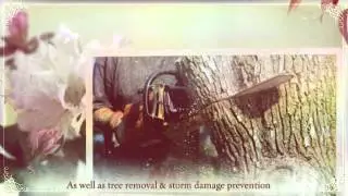 Vancouver Tree Services - 360-281-7045 -Pa's Tree Service