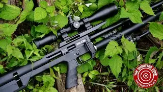 Dialing In The Umarex Zelos .25