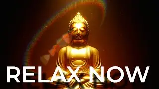Calm Your Mind Fast | Gentle Meditation Music