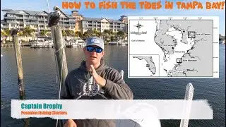 How To Fish The Tides In Tampa Bay