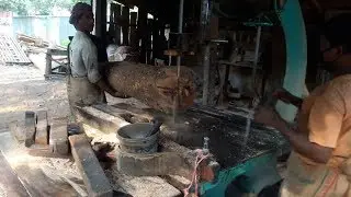 Yellow Jack Fruit Wood Cutting Skill 2019। Best Workers Skill 2019। Dangerous Wood Cutting Skill