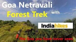 Goa Netravali Forest Trek with IndiaHikes :: An Unforgettable Experience