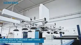 3015HC | sheet metal laser cutter+automatic suction cup loading