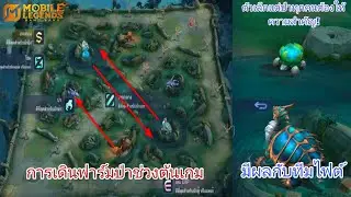 Mobile Legends Thailand แนวทางการเดินเกมแต่ละตำแหน่งสำหรับผู้เล่นใหม่