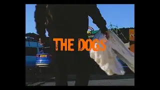 THE DOGS - 
