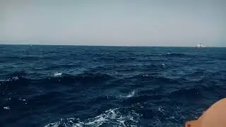 sea short waves