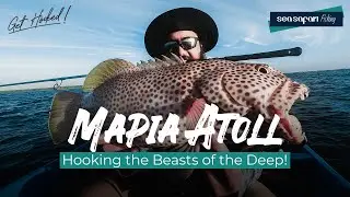 Mapia Atoll Liveaboard Fishing: A Reel Adventure!