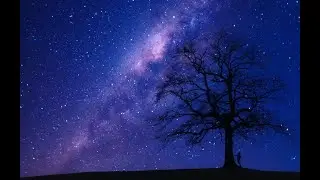 Celestial Fusion