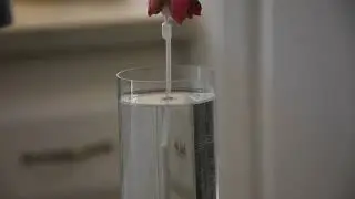 Can you test your own water for lead?
