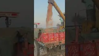 desi mahool