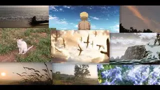 POV : life after exams!! (anime + real life)