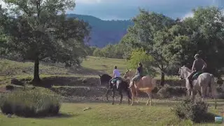 Vacaciones a caballo por Cazorla, Jaén