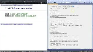 9.21 Not-A-Number (NaN) and Infinity checks for IEEE floating point data type