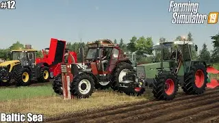 🇳🇴 Harvesting potatoes🥔🥔 & Canola🌾, Plowing│Baltic Sea│FS 19│Timelapse 12