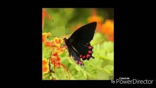 FM Radio Power 99 . Sad poetry . Muhbt kam nahi ho gi . Best voice samar Jamal