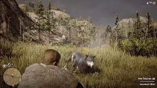 (LEGENDARY WOLF) RED DEAD REDEMPTİON 2 