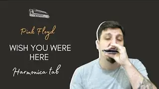 🎶 Wish You Were Here - Pink Floyd (Harmonica Tab - na Gaita com Tablatura)