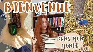 En gros, ma vie: un chat et des livres