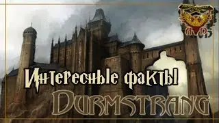ϟ Интересные факты о Дурмстранге ϟ