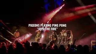 Pigeons Playing Ping Pong - Feed The Fire | El Ganzo Session