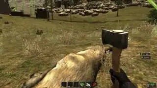 RUST - Flying Bears and Wolves attack!!