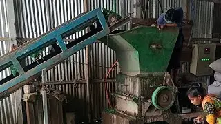 Sheikh Plastic is going live! plastic bottle crushing