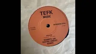 Elizabeth with Electric Concert Sounds - Peace